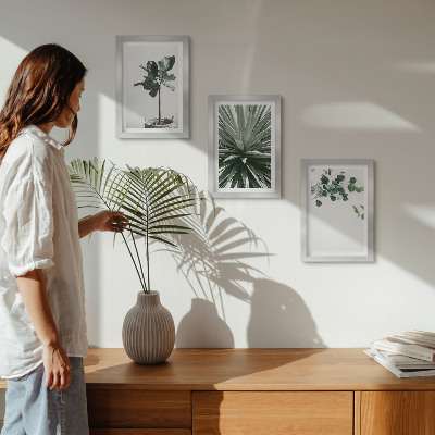 Gallery wall Groene planten in een minimalistische stijl