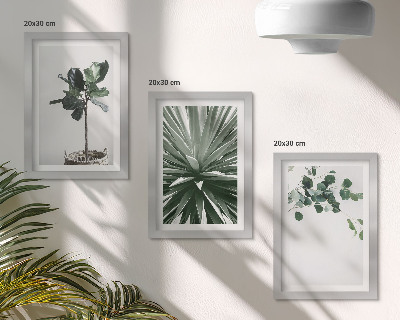Gallery wall Groene planten in een minimalistische stijl