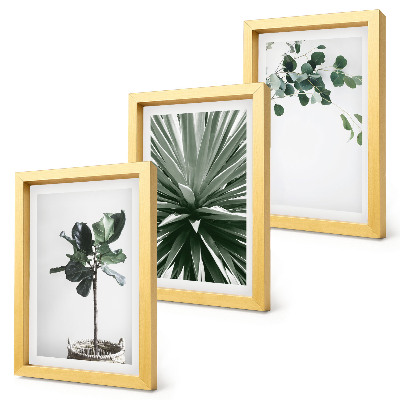 Gallery wall Groene planten in een minimalistische stijl