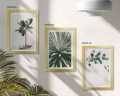 Gallery wall Groene planten in een minimalistische stijl