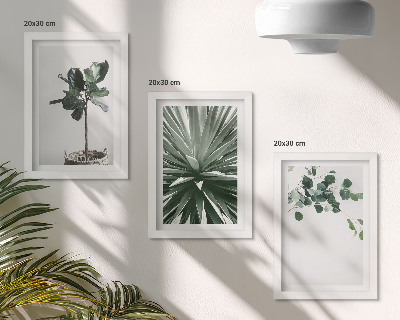 Gallery wall Groene planten in een minimalistische stijl