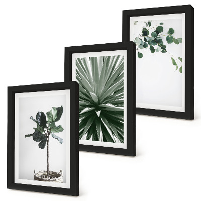 Gallery wall Groene planten in een minimalistische stijl