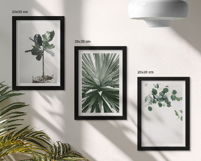 Gallery wall Groene planten in een minimalistische stijl