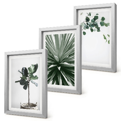 Gallery wall Groene planten in een minimalistische stijl