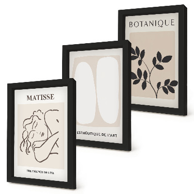 Set van ingelijste schilderijen Stijlvolle minimalistische schilderijen met plantmotieven van Matisse