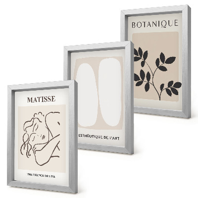 Set van ingelijste schilderijen Stijlvolle minimalistische schilderijen met plantmotieven van Matisse