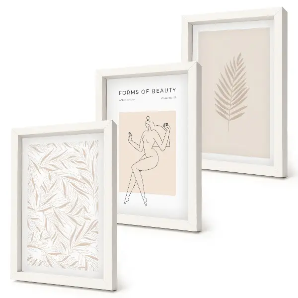 Set ingelijste schilderijen met minimalistische botanische ontwerpen