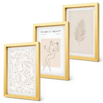 Set ingelijste schilderijen met minimalistische botanische ontwerpen