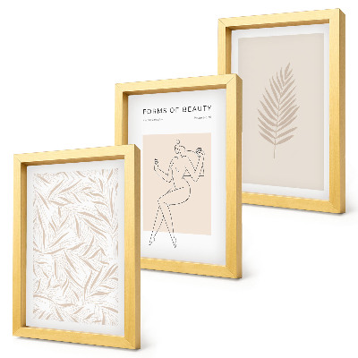 Set van ingelijste schilderijen Minimalistische botanische ontwerpmotieven