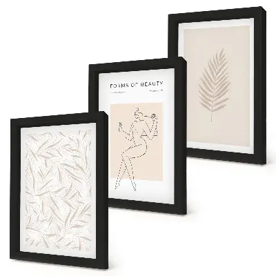Set ingelijste schilderijen met minimalistische botanische ontwerpen