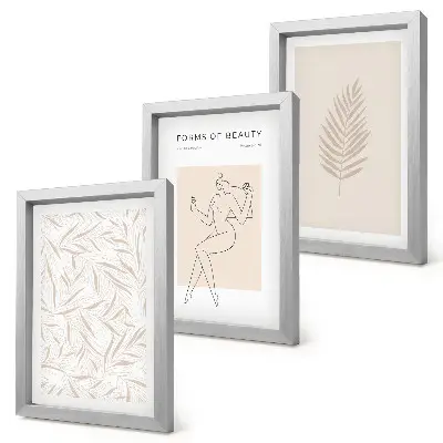 Set ingelijste schilderijen met minimalistische botanische ontwerpen