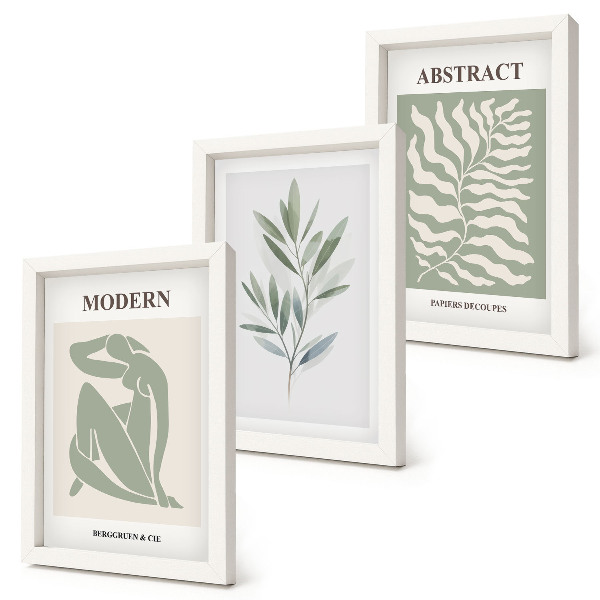 Set van ingelijste schilderijen Matisse ontwerpt aquarel boho planten
