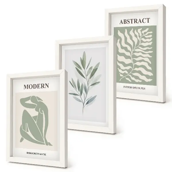 Set ingelijste schilderijen met Matisse aquarel plantenontwerp in boho stijl