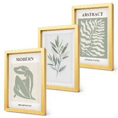 Set ingelijste schilderijen met Matisse aquarel plantenontwerp in boho stijl