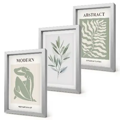 Set ingelijste schilderijen met Matisse aquarel plantenontwerp in boho stijl
