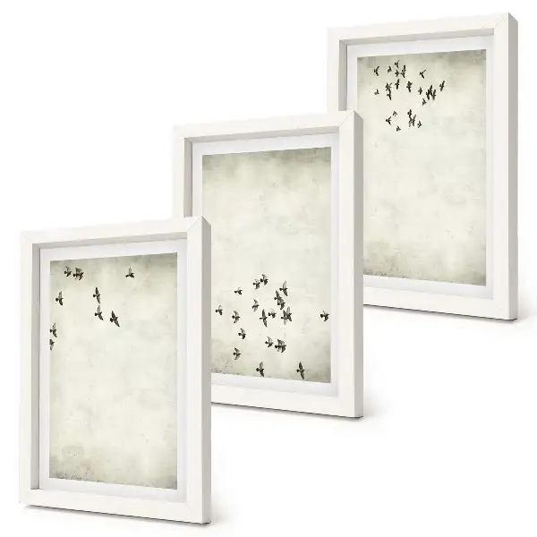 Set van ingelijste schilderijen met een minimalistische afbeelding van vliegende vogels