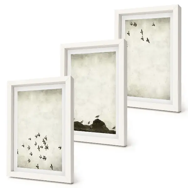 Set van ingelijste schilderijen met voorstelling van vogels in vlucht in minimalistische stijl