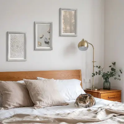 Set ingelijste schilderijen met boho-texturen en natuurlijke structuren
