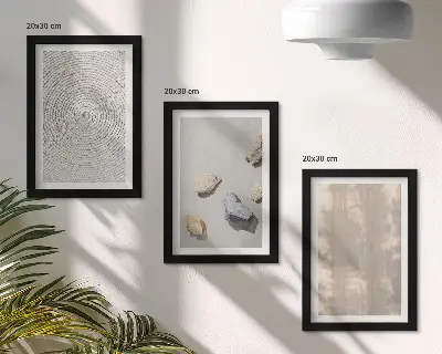 Set ingelijste schilderijen met boho-texturen en natuurlijke structuren