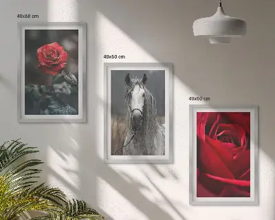 Fotowand met rode rozen en een paardengrijze wereld