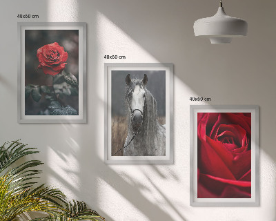 Fotowand Rode rozen, paardengrijze wereld
