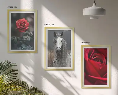 Fotowand met rode rozen en een paardengrijze wereld