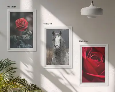 Fotowand met rode rozen en een paardengrijze wereld