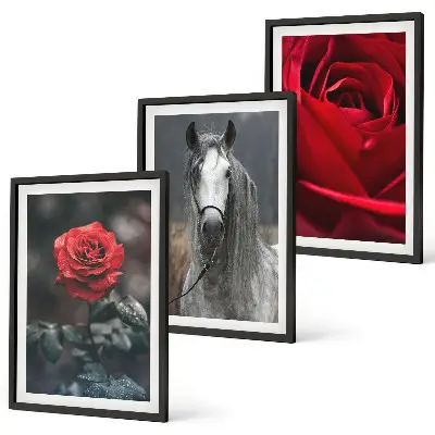 Fotowand met rode rozen en een paardengrijze wereld