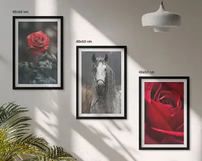 Fotowand met rode rozen en een paardengrijze wereld