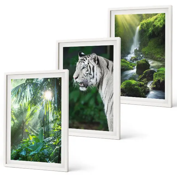 Wanddecoratie set schilderijen met jungle tijger en waterval