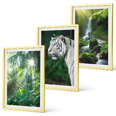 Wanddecoratie set schilderijen met jungle tijger en waterval