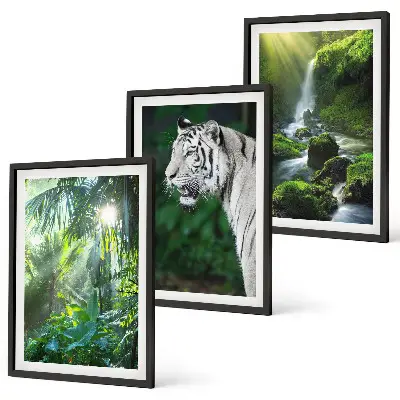Wanddecoratie set schilderijen met jungle tijger en waterval