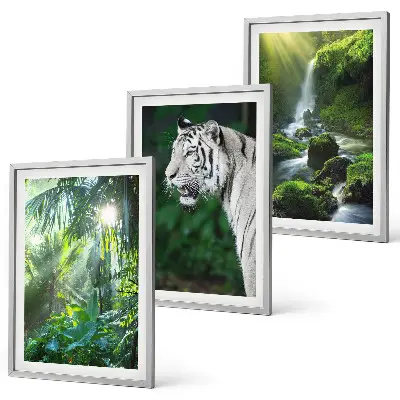 Wanddecoratie set schilderijen met jungle tijger en waterval