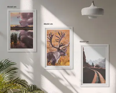 Fotowand met berglandschappen en rendieren