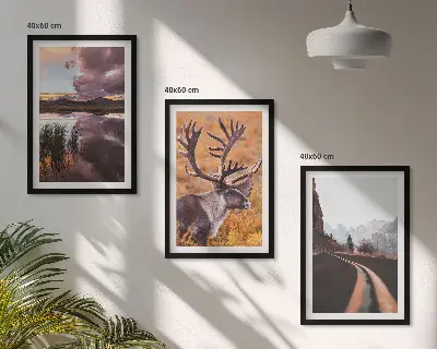 Fotowand met berglandschappen en rendieren