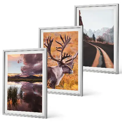 Fotowand met berglandschappen en rendieren
