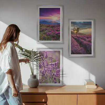 Fotowand lavendelvelden bij zonsondergang