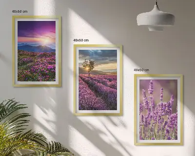 Fotowand lavendelvelden bij zonsondergang