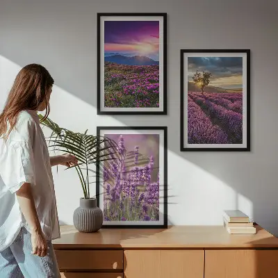 Fotowand lavendelvelden bij zonsondergang
