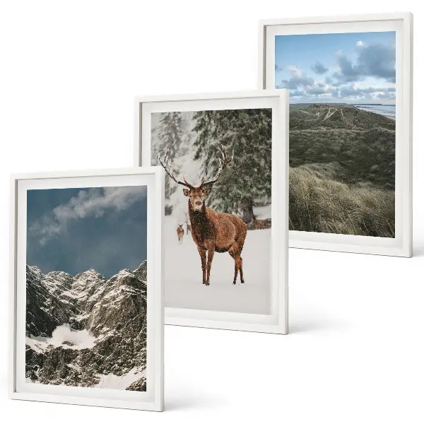 Wanddecoratieset schilderijen met bergen, sneeuwherten en een boslandschap