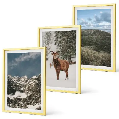 Wanddecoratieset schilderijen met bergen, sneeuwherten en een boslandschap
