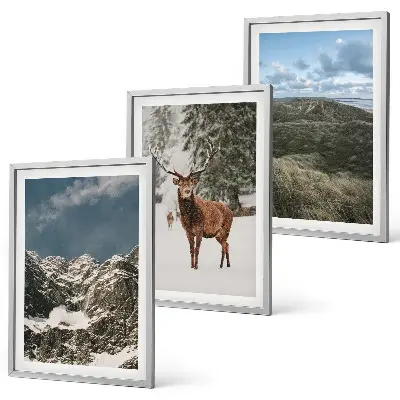 Wanddecoratieset schilderijen met bergen, sneeuwherten en een boslandschap