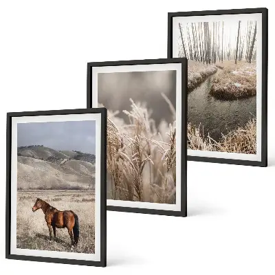 Fotowand met een landschap van paarden in het gras bij een beek