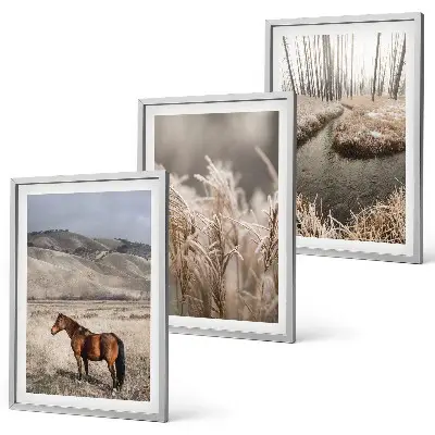 Fotowand met een landschap van paarden in het gras bij een beek