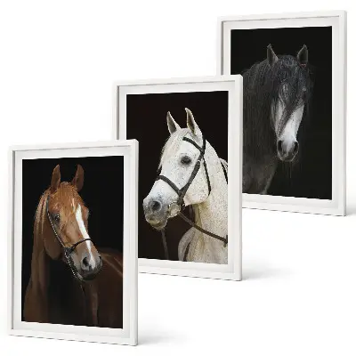 Wanddecoratie set schilderijen Portretten van paarden in verschillende vachtkleuren.