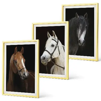 Wanddecoratie set schilderijen Portretten van paarden in verschillende vachtkleuren.