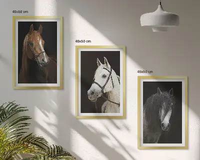 Wanddecoratie set schilderijen Portretten van paarden in verschillende vachtkleuren.