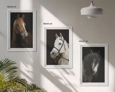 Wanddecoratie set schilderijen Portretten van paarden in verschillende vachtkleuren.