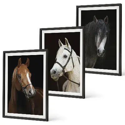 Wanddecoratie set schilderijen Portretten van paarden in verschillende vachtkleuren.
