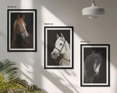 Wanddecoratie set schilderijen Portretten van paarden in verschillende vachtkleuren.